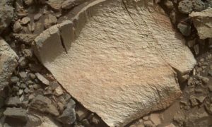 A rock fragment dubbed "Lamoose" is shown in this picture taken by the Mars Hand Lens Imager (MAHLI) on NASA's Curiosity rover. Credit: NASA/JPL-Caltech/MSSS Read more at: http://phys.org/news/2015-07-nasa-curiosity-rover-unusual-bedrock.html#jCp