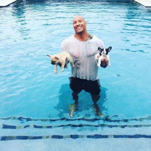 The late Brutus (left), and Hobbs (right) after The Rock had to rescue the pair from his pool (via Instagram)