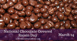 chocolate covered raison