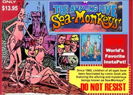 Sea Monkey Day