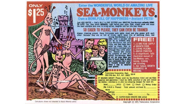 sea monkeys