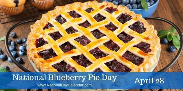 blueberry pie day