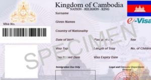 e-visa sample