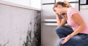 The Hidden Dangers of Black Mold in the House