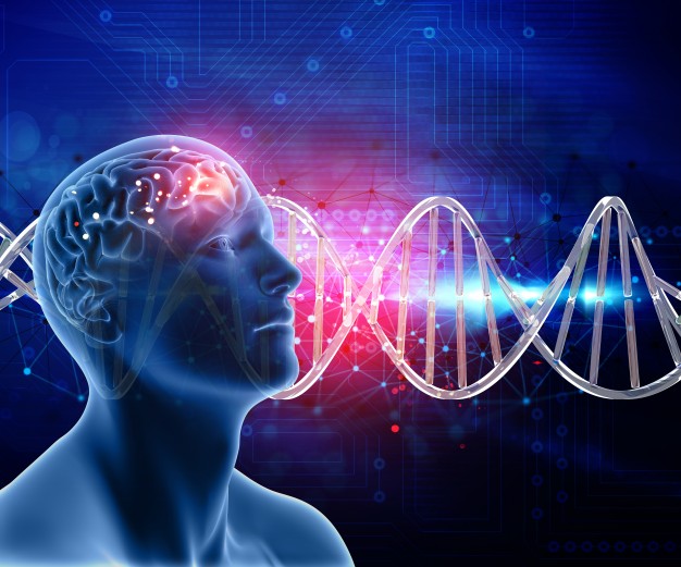 https://www.freepik.com/free-photo/3d-medical-background-with-male-head-brain-dna-strands_1218628.htm#page=1&query=brain%20cells&position=11