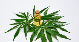 https://www.freepik.com/premium-photo/cannabis-oil-extract-cannabis-leaves-white-space_9241552.htm#page=1&query=hemp&position=17