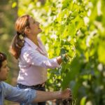 bibiana-and-jeff-inspecting-vines