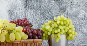 https://www.freepik.com/free-photo/grapes-mini-bucket-basket-side-view-plaster-grungy-grey_10183653.htm#page=1&query=winery&position=9
