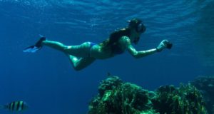 Tips for Taking Underwater Photos