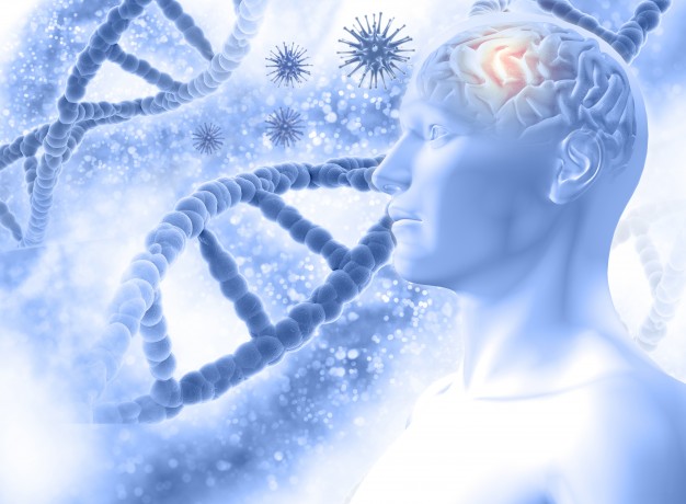 https://www.freepik.com/free-photo/3d-medical-background-with-male-figure-with-brain-virus-cells_1138372.htm#page=1&query=alzheimers&position=2