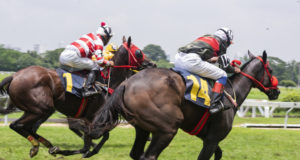 https://www.freepik.com/premium-photo/race-hose_3849972.htm#page=6&query=horse+race&position=32