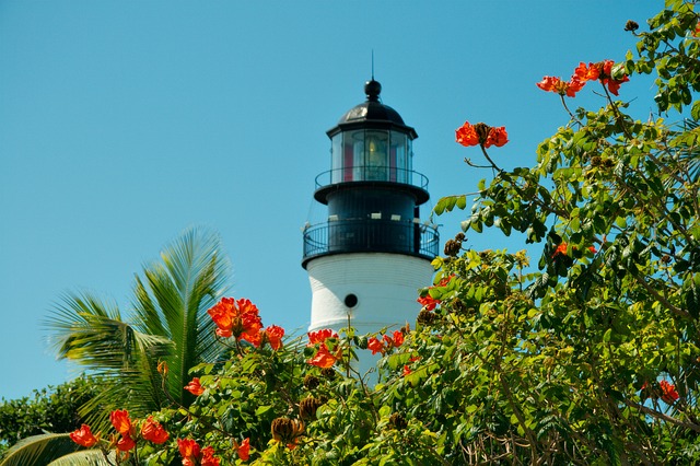 https://www.freepik.com/free-photo/lighthouse-florida-tropics-key-nature-west_668572.htm#page=1&query=key+west&position=8