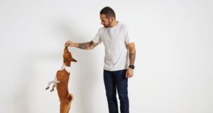https://www.freepik.com/free-photo/young-brown-white-basenji-dog-is-standing-very-tall-its-rear-paws-as-its-bearded-tattooed-owner-motivates-it-by-offering-it-treat-high-up-air_11898817.htm#page=2&query=dog+treat&position=49