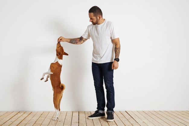 https://www.freepik.com/free-photo/young-brown-white-basenji-dog-is-standing-very-tall-its-rear-paws-as-its-bearded-tattooed-owner-motivates-it-by-offering-it-treat-high-up-air_11898817.htm#page=2&query=dog+treat&position=49
