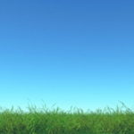 3d-render-green-grass-blue-sky_1048-14154