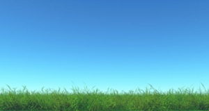 https://www.freepik.com/free-photo/3d-render-green-grass-blue-sky_14091128.htm#page=1&query=grass&position=34