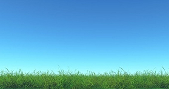 https://www.freepik.com/free-photo/3d-render-green-grass-blue-sky_14091128.htm#page=1&query=grass&position=34