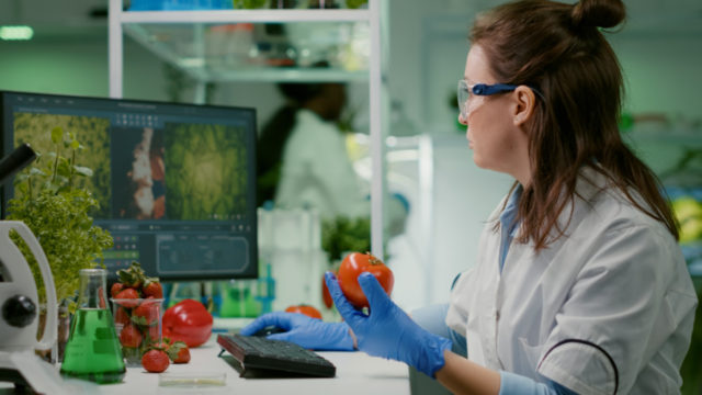 https://www.freepik.com/free-photo/pharmaceutical-chemist-examining-tomato-microbiology-experiment-typing-medical-information_16048482.htm#page=1&query=GMO&position=8