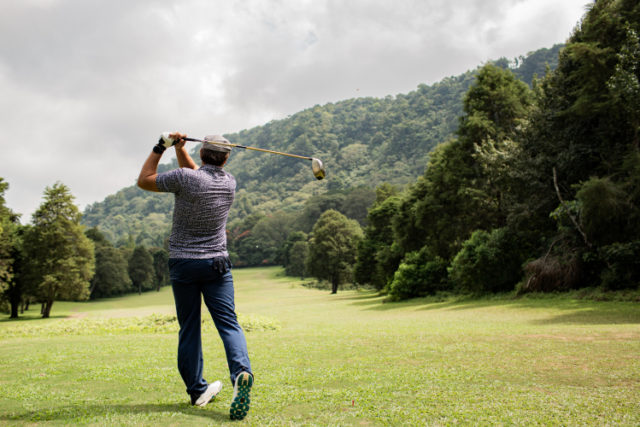 https://www.freepik.com/free-photo/professional-golfer-bali-indonesia_10506873.htm#page=1&query=golf%20swing&position=10