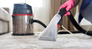 https://www.freepik.com/premium-photo/human-cleaning-carpet-living-room-using-vacuum-cleaner-home_10385666.htm?query=rug%20cleaner