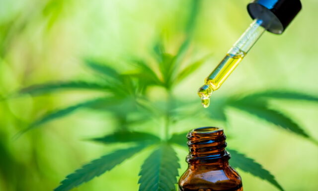 https://www.freepik.com/premium-photo/cbd-hemp-oil-drip-bio-medicine-ecology-hemp-plant-herb-medicine-cbd-oil-from-medical-extraction_12176787.htm#page=1&query=cbd&from_query=cbg&position=16&from_view=search
