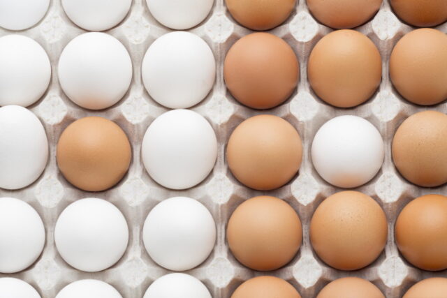 https://www.freepik.com/premium-photo/eggs-aligned-formwork_8002185.htm#page=1&query=eggs&position=16&from_view=search