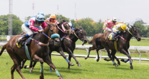 https://www.freepik.com/premium-photo/race-horse-jockey-jumping-hurdle_3849964.htm?query=horse%20race