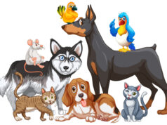 https://www.freepik.com/free-vector/group-pets_12356164.htm#query=pets&position=7&from_view=search