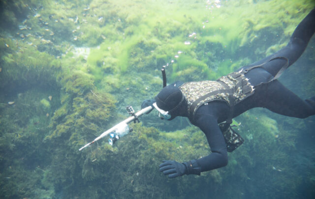 https://www.freepik.com/premium-photo/spearfishing-man-with-flashlight-deep-lake-swimming-with-action-camera-underwater-gun-underwater-shot_23977268.htm#query=spearfishing&position=10&from_view=search