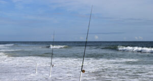 https://www.vecteezy.com/photo/1313406-fishing-rods-on-the-beach