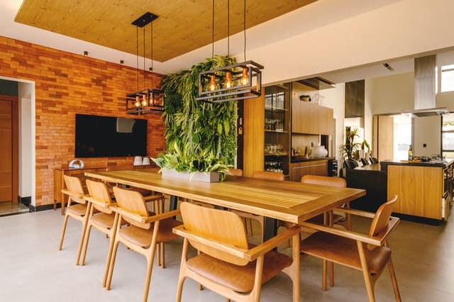 https://www.pexels.com/photo/long-plants-over-table-with-chairs-10114998/