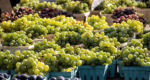 https://www.vecteezy.com/photo/2029403-various-colors-of-grapes-for-sale-in-the-market-place