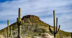 https://www.freepik.com/free-photo/desert-mountain-is-flanked-by-saguaro-cactus_17464078.htm#query=arizona&position=36&from_view=search