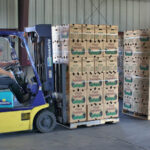 Bushels (boxes) ready to ship from Jamerson Farms packing house