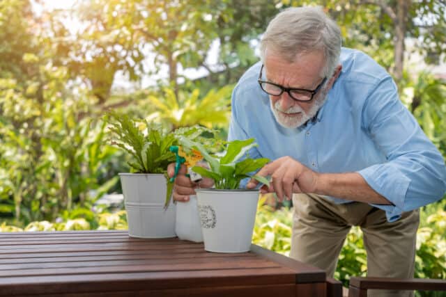 https://www.freepik.com/free-photo/senior-old-man-eldery-puring-water-taking-care-small-tree-table-garden_26227029.htm#query=senior%20gardening&position=0&from_view=search