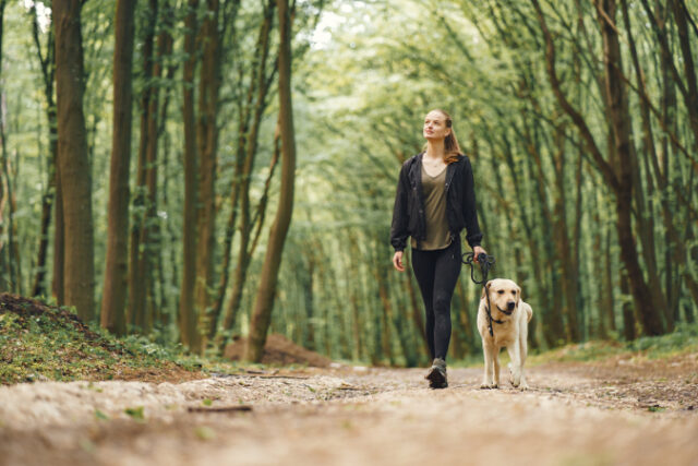https://www.freepik.com/free-photo/portrait-woman-with-her-beautiful-dog_8898229.htm#query=woman%20walking&position=21&from_view=search&track=sph