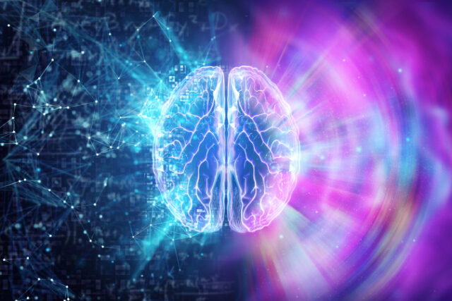 https://www.freepik.com/premium-photo/human-brain-blue-background-hemisphere-is-responsible-logic_4675233.htm#query=human%20brain&position=33&from_view=search&track=sph