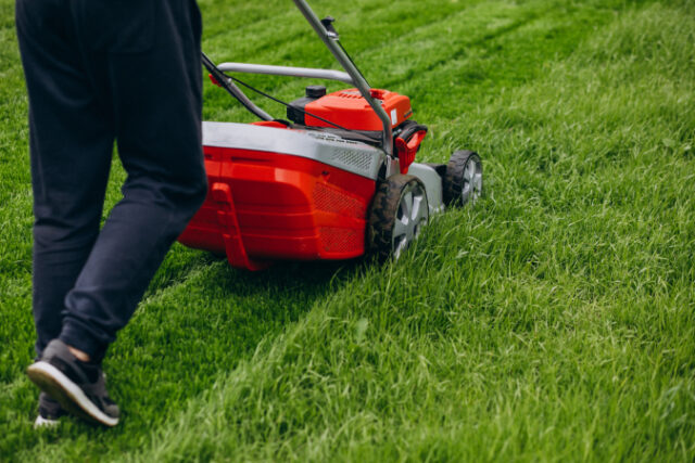 https://www.freepik.com/free-photo/man-cutting-grass-with-lawn-mover-back-yard_8828103.htm#query=lawn%20care&position=25&from_view=search&track=sph