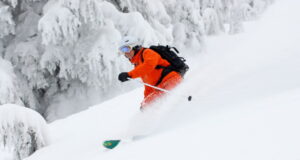 https://www.vecteezy.com/photo/745712-powder-skiing