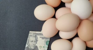 https://www.vecteezy.com/photo/2750082-investment-in-organic-egg-with-american-dollar-money-for-healthy-food