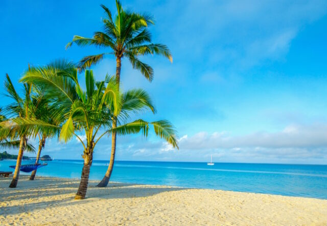 https://www.freepik.com/premium-photo/coconut-tree-sky-background_25821175.htm#query=beaches&position=7&from_view=search&track=sph