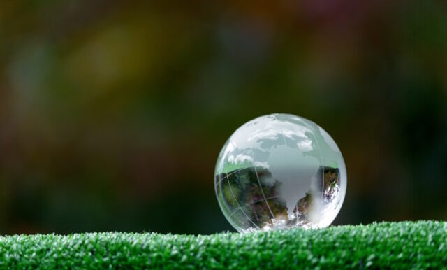 https://www.vecteezy.com/photo/15902692-close-up-of-crystal-globe-resting-on-grass-in-a-forest-environment-concept
