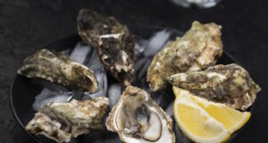 https://www.freepik.com/free-photo/oyster-with-lemon-slice-sand-ice_7072420.htm#query=oysters&position=1&from_view=search&track=sph