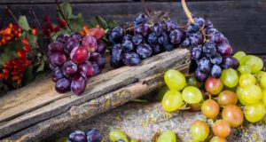 https://www.freepik.com/free-photo/sprig-grapes-wooden-background_9045571.htm#query=grapes&position=15&from_view=search&track=robertav1_2_sidr