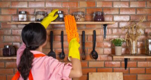 https://www.freepik.com/free-photo/young-girl-is-wearing-yellow-gloves-while-cleaning-kichen-room-with-duster-her-house_7955646.htm#page=2&query=home%20cleaning&position=17&from_view=search&track=robertav1_2_sidr
