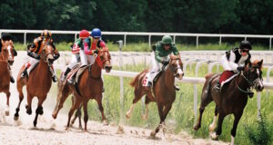 https://www.vecteezy.com/photo/821835-horse-racing