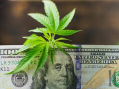 https://www.freepik.com/premium-photo/marijuana-money-leaves-marijuana-dollars_25599759.htm#query=canabis%20revenue&position=14&from_view=search&track=ais