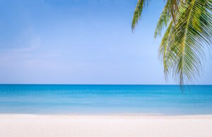 https://www.freepik.com/premium-photo/tropical-nature-clean-beach-white-sand_13198414.htm?query=beaches#from_view=detail_alsolike