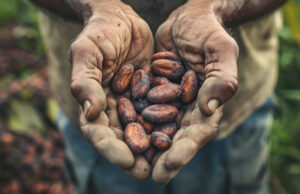 https://www.vecteezy.com/photo/40570474-ai-generated-man-holds-a-handful-of-cocoa-beans-generative-ai