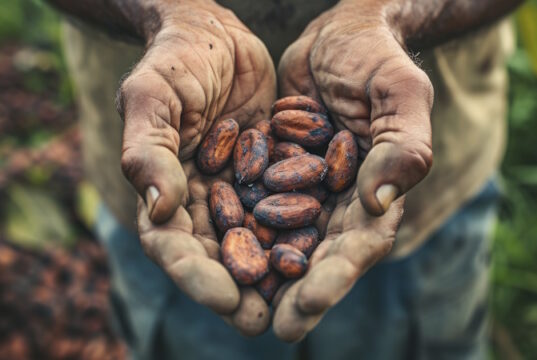 https://www.vecteezy.com/photo/40570474-ai-generated-man-holds-a-handful-of-cocoa-beans-generative-ai